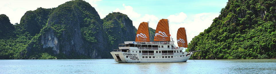 Vietnam cruises 