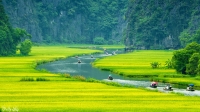 HOA LU - TAM COC -  1 DAY TRIP BY LIMOUSINE